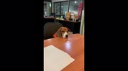 temp