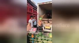 Skilled Chinese man catches and throws watermelons with one hand