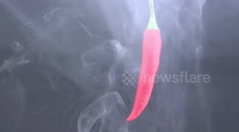 A smoking hot chilli pepper.
