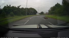 UK driver narrowly avoids family of deers crossing road in Bolton