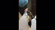 temp