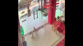 Shopkeeper Slips Over Running To Close Door