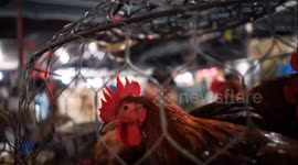 Authentic Experience in Vietnam