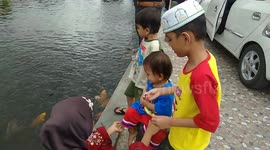 kids very  happy give fishes some eat in the pool