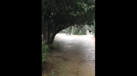 Flood outside my house