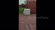 temp