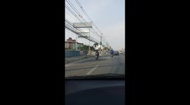 Shih Tzu Rides On The Back Of Motorcycle