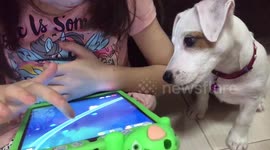 Adorable puppy just wants to play video games too