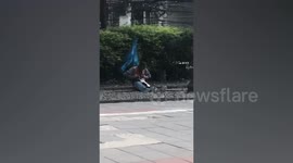 Taxi Rider Has Special Moment With Stray Cat