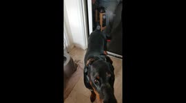 You are not getting my dinner ready quickly enough!