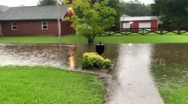 Flash flood emergency declared in New Orleans as streets overrun with water