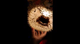 Weird findings in bars