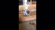 temp