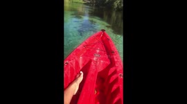 Kayaking in springs