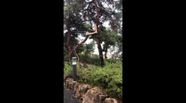 Epic Storm Ikos Oceania Aftermath July 10 2019. Greece. Tornado. Hurricane.