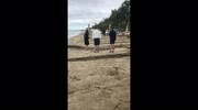 temp