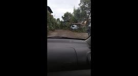 Tree felt on a car,after catastrophic storm in halkidiki Greece