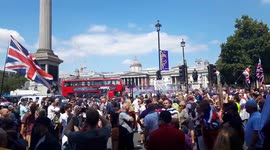 Crowds gather in Trafalgar square for Tommy Robinson