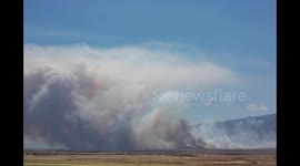 Maui Brush Fire