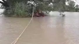 Monkey trapped inside tree for five days amid heavy rains rescued via long rope in western India