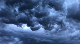 Whales mouth timelapse