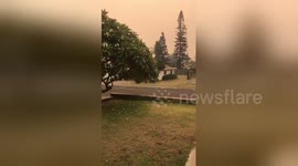 Newsflare Edit - #Maui fire #Hawaii weather #brushfire https://t.co/r4Mq4HxEsX