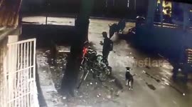 Moment student distracted by his phone was barged to the ground by two raging bulls