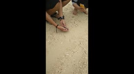 Release the lost boy Turtle