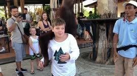 Adorable moment orangutan 'falls in love' with Australian boy at Indonesian zoo