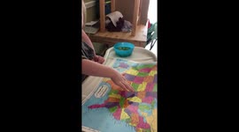 2.5 year old Amelia names states