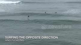 Surfing in the Wrong Direction WTF?
