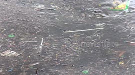 Plastic straw waste floating in the lake off Toronto as several countries including Canada are preparing to ban single use plastics such as drinking straws