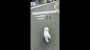 temp