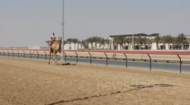 Camel Race, Dubai-UAE (3)