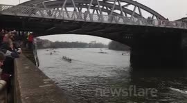 Rowing Regatta at Barnes Bridge London