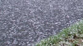 Massive Snow Flakes Falling - Valentine's Day 2011