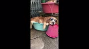 temp
