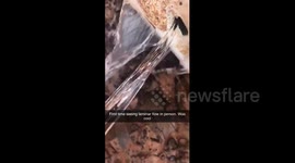 Mesmerising laminar flow spotted in Texas