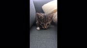 temp