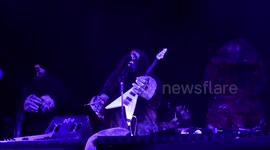 Maulwürfe band live show