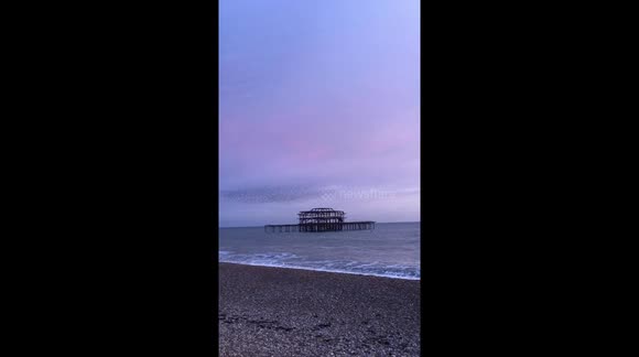 Starlings over Brightons West Pier