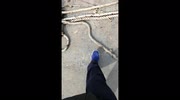 temp