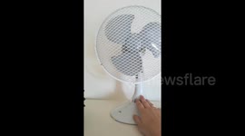 This BLOWS! Fan stops working as Europe hit with heatwave