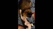 temp