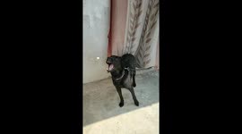 A Perfect Catch in slow motion.