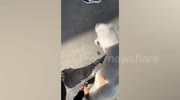 temp