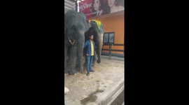 Elephants know how to pose for photos with tourists