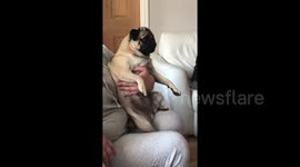 Daisy not liking wimbledon