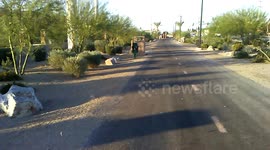 Grasshoppers are taking over Las Vegas