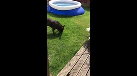 When you’re an only child